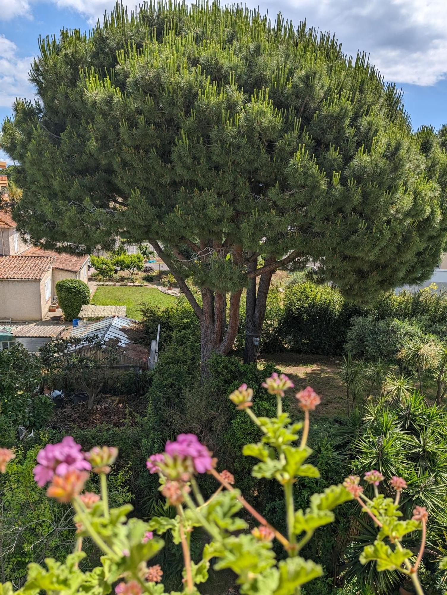 Studio Calme Dernier Etage Antibes Eksteriør bilde